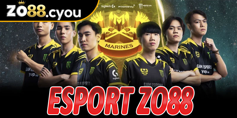 Esport Zo88